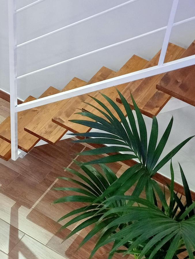 Maison Damas 바를레타 외부 사진